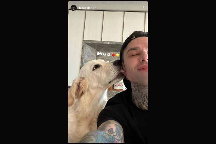 fedez con paloma