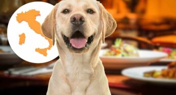 Ristorante a 4 zampe, ora é possibile: è il primo in Italia, dove si trova