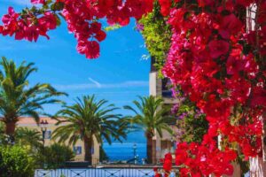 Corsica e mete low cost